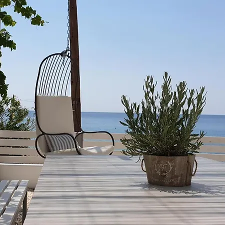 Summer Vibes * Achlia